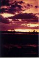 Sunset.jpg