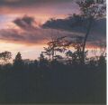 Sunset.jpg